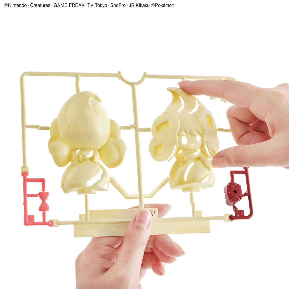 Echte Bandai Pokemon Figuren M - Model Kit Quick recensie en prijs